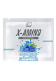 2SN X-Amino, 12 гр