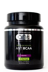 ANT BCAA, 250 гр