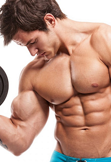 Отчего растут мышцы: или все-таки гиперплазия?!