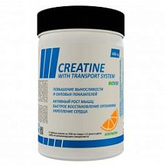 Biovise Creatine, 400 гр