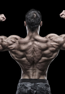 Эстетика прежде всего