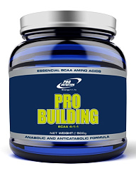 Pro Nutrition BCAA 4:1:1 Pro Building, 500 гр